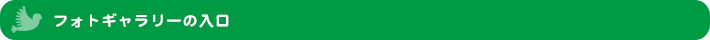 フォトギャラリーの入口