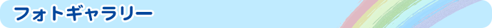 フォトギャラリー